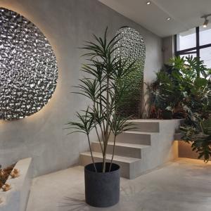 China Round Recycled Plastic Planters Lightweight for Planting Seedling factory