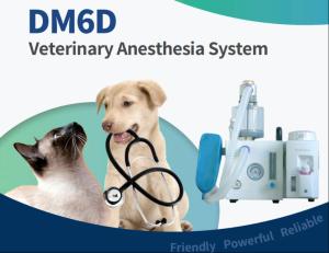 China High Precision DM6D VET Animal Anesthesia Machine 280kPa-600kPa factory