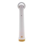 Oralchip Electric Toothbrush Heads Replacement For Oral Brush Heads In Stock