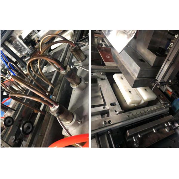 China Fully automatic multi-lattice lunch box forming machine double and multipe dinner lunch boxes factory