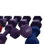4kg Cast Iron Free Weight Exercise Equipment Neoprene Or Vinyl Dumbbell