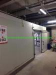 Blood-Red Deep Freezer for Fish and Pork in Cold Storage Industrial PU/XPS