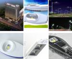 30v 32v 60w 80w 100w 6000K 4046 2424 Floodlight COB Chip