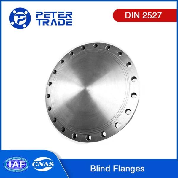High Quality DIN Standards DIN 2527 PN 40 Carbon Steel Blind Blank Flange DN 10
