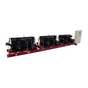 4000BPH Automatic Juice Filling Machine Bottled With Rotary Structure