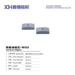 Anisotropic Ceramic Ferrite Magnet Made By Wet Compression Molding For Universal