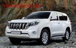 Toyota 2014 Prado FJ150 Decoration Accessory Interior Side Door Handle Cover