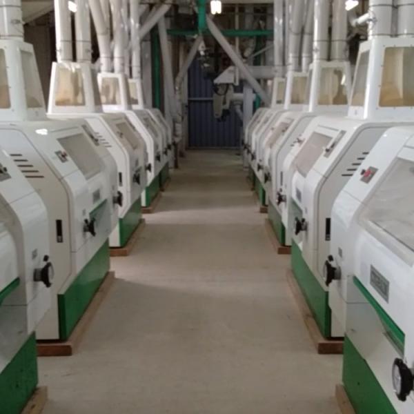 Bottom price China 400 Tpd Wheat Flour Mill Automatic Wheat Flour Mill for Flour