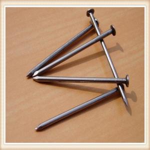 China common nails ，common wire nails factory