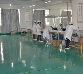Shining Electronic CO., LTD