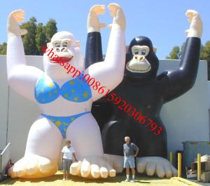 China 25ft inflatable male and female gorilla for advertising factory