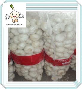China For sale natural garlic wholesale white garlic factory outlets natural garlic factory