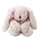 EN71 Custom Size Cute Infant Comforter Soft Skin Friendly Stuffed Bunny Toy Kids