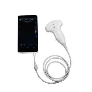 Handheld Ultrasound Scanner convex transducer