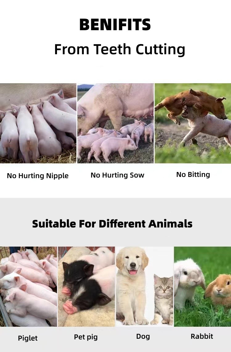 Livestock Husbandry Rabbit Piglet Animal Tooth Cutter