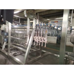 1000bph Auto Chicken Slaughtering Machine Poultry Defeathering Equipment