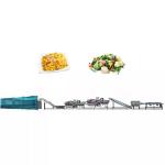 High Speed Fruit And Vegetable Cleaning Machine Ultrasonic Washing