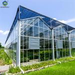 Strong Structure Galvanized Venlo Type Greenhouse Commerical Green House
