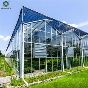 China Strong Structure Galvanized Venlo Type Greenhouse Commerical Green House factory
