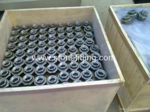 China forged Threaded Union mss sp83 factory