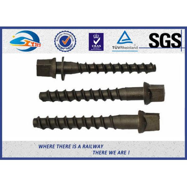 China High Hardness Oxide Black 8.8 Grade Railway Sleeper Screws DIN Standard factory