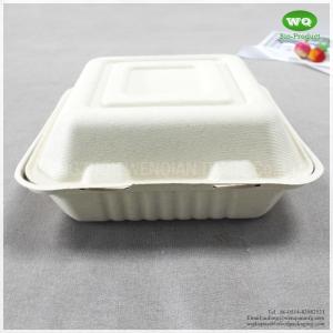 China 8x8 Inch Three Compartments Compostable Sugarcane Fiber Disposable Lunch Box-Disposable Food Packaging Manufacturer factory