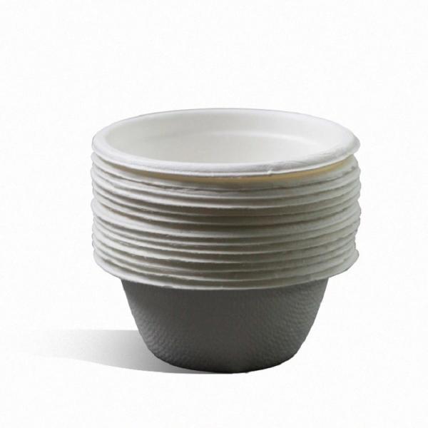 Water Resistant Leakproof Biodegradable Sugarcane Bagasse Cup Sauce Cups And