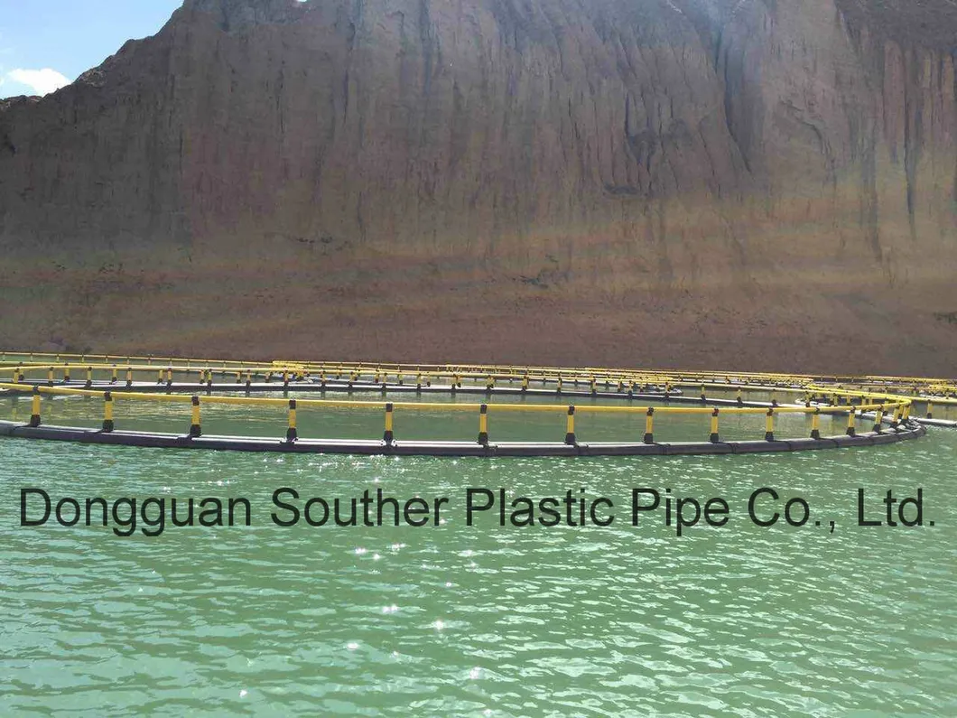 Reliable, Heavy-Duty Aquaculture Cages &ndash; Best for Large-Scale Fish Farming