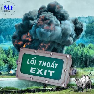 Ex ATEX IP65 Waterproof Fireproof Aluminum Tempered Glass Industrial LED