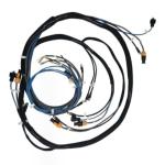 Plastic Electric Vehicle Wire Harness Assembly OEM Voltage 24V