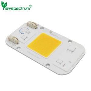 China No Flicker Cob Led 50w Chip Warm White No Welding For Greenhouse Lights factory