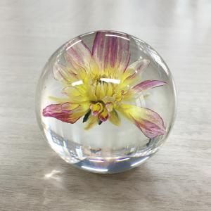 China Acrylic Flower Paperweight Logo Customized For Decoration factory
