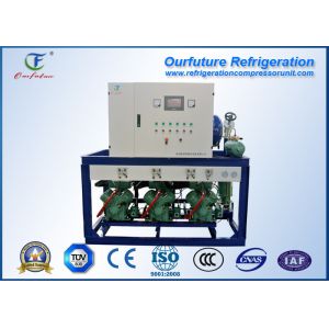 Beef refrigeration R404a brand screw type parallel compressor racks