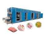 Customizable IQF Tunnel Freezer For Frozen Fries Production 1000kg/H