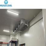 CE Certified Large Temperature Controlled Cold Storage Room Freezer for