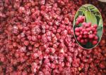 Fruit Type Chinese Traditional Medicine , Schisandra Supplement Vacuum Packed