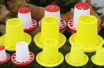 Broiler Animal Automatic 2kg Poultry Feeder Drinker For Husbandry Equipment