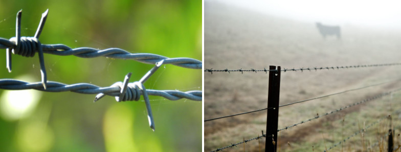 Agricultural Galvanised Barbed Wire Double Twist Q235 16 Gauge