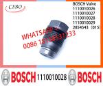 Pressure relief valve 1110010026 1110010027 1110010028 1110010029 2854543（015