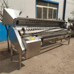 Chicken feet processing Line factory direct sales chicken toenail trimming