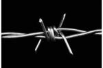Double Twist Barbed Wire 10 Gauge Traditional Double Strands Barbed Wire