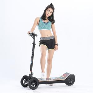 China 3 Wheels Powerful Electric Scooter 500w Power 120kg Max Loading Mobile Electric Scooter factory