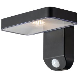 China Stable Waterproof Garden Motion Sensor Light Multipurpose Durable factory
