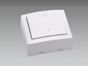 China 250V 10A Surface Switch For Furniture Kitchen / Bathroom Application factory