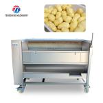 Root Veg 1.5KW Commercial Potato Washer , Kiwifruit Lotus Root Potato Peeler