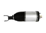 OEM Airmatic Shock Absorber Air Suspension Replacement For DOGE 1500 4877147AF
