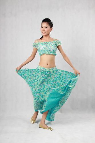 Elegant Belly Dancer Costume Blue Green Floor Length Maxi Skirt Plain Neckline