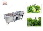 Ce Certified Stainless Steel Fruit Processing Machine Fruit Mango Apple Washing