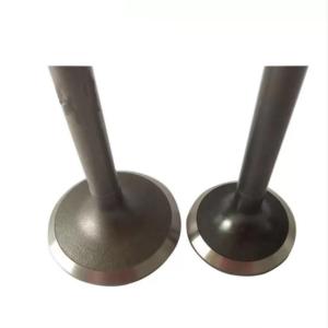 China TEM Mitsubishi S4E Intake Valve Exhaust Valve 34404-00100 30604-01100 factory