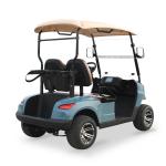 NL-G2020 48V 5KW Golf Cart Car 2 Passenger with Max. Speed 15.5mph 25khp and